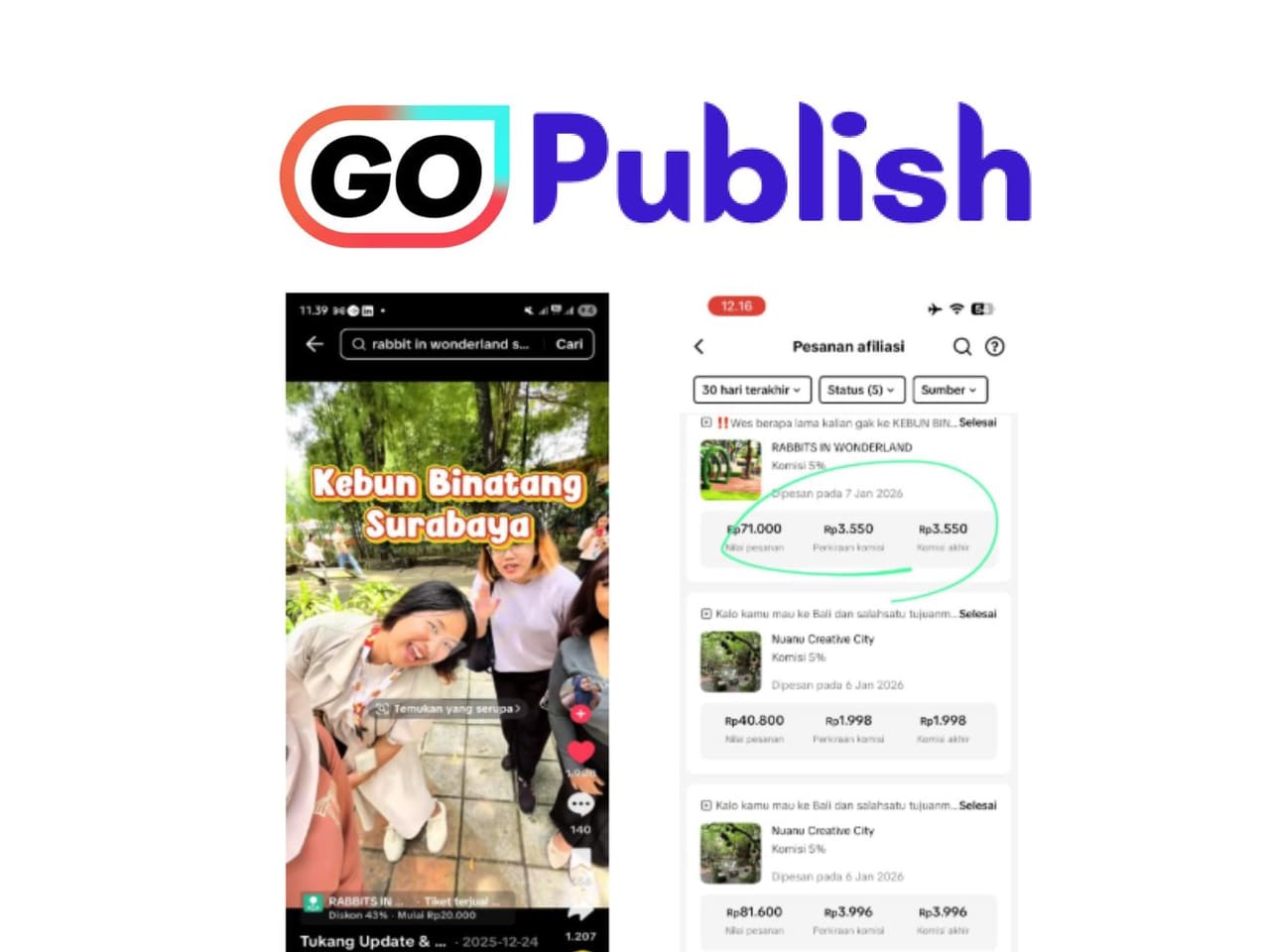 TikTokGo Ecosystem Agency